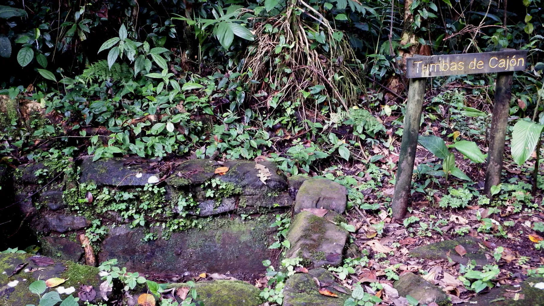 Guayabo National Monument 6